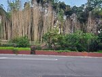 25102024_Samsung Smartphone Galaxy S10 Plus_3rd round to Kyushu_Nagasakiken_Sesehoshi_JAL Nikko Hotel Huis Ten Bosch Morning00008