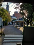 25102024_Samsung Smartphone Galaxy S10 Plus_3rd round to Kyushu_Nagasakiken_Sesehoshi_JAL Nikko Hotel Huis Ten Bosch Morning00022