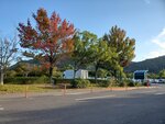 25102024_Samsung Smartphone Galaxy S10 Plus_3rd round to Kyushu_Nagasakiken_Sesehoshi_JAL Nikko Hotel Huis Ten Bosch Morning00052