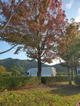 25102024_Samsung Smartphone Galaxy S10 Plus_3rd round to Kyushu_Nagasakiken_Sesehoshi_JAL Nikko Hotel Huis Ten Bosch Morning00053