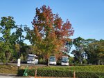 25102024_Samsung Smartphone Galaxy S10 Plus_3rd round to Kyushu_Nagasakiken_Sesehoshi_JAL Nikko Hotel Huis Ten Bosch Morning00069