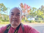 25102024_Samsung Smartphone Galaxy S10 Plus_3rd round to Kyushu_Nagasakiken_Sesehoshi_JAL Nikko Hotel Huis Ten Bosch Morning00086
