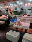 26102024_Samsung Smartphone Galaxy S10 Plus_3rd round to Kyushu_Fukuokashi Morning00009