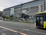 26102024_Samsung Smartphone Galaxy S10 Plus_3rd round to Kyushu_Fukuokashi Morning_Hakata Eki00100