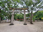 26102024_Samsung Smartphone Galaxy S10 Plus_3rd round to Kyushu_Fukuokashi Morning_Sumiyoshi Jinja00077