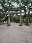 26102024_Samsung Smartphone Galaxy S10 Plus_3rd round to Kyushu_Fukuokashi Morning_Sumiyoshi Jinja00078