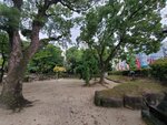 26102024_Samsung Smartphone Galaxy S10 Plus_3rd round to Kyushu_Fukuokashi Morning_Sumiyoshi Jinja00079