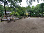 26102024_Samsung Smartphone Galaxy S10 Plus_3rd round to Kyushu_Fukuokashi Morning_Sumiyoshi Jinja00080