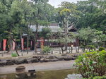 26102024_Samsung Smartphone Galaxy S10 Plus_3rd round to Kyushu_Fukuokashi Morning_Sumiyoshi Jinja00082