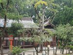 26102024_Samsung Smartphone Galaxy S10 Plus_3rd round to Kyushu_Fukuokashi Morning_Sumiyoshi Jinja00085