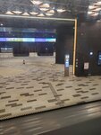 26102024_Samsung Smartphone Galaxy S10 Plus_3rd round to Kyushu_Hong Kong Zhuhai Macao Bridge Control Point00003