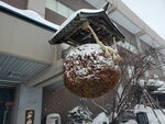 14012024_Samsung Smartphone Galaxy 10 Plus_26th round to Hokkaido_Asahikawa_Otokoyama Brewery00044