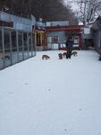14012024_Samsung Smartphone Galaxy 10 Plus_26th round to Hokkaido__Kitami Kitsune Maki00004