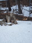14012024_Samsung Smartphone Galaxy 10 Plus_26th round to Hokkaido__Kitami Kitsune Maki00006