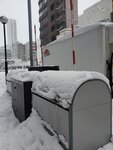 14012024_Samsung Smartphone Galaxy 10 Plus_26th round to Hokkaido_Susukino Morning00004