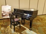 16012024_Samsung Smartphone Galaxy 10 Plus_26th round to Hokkaido_Kitakobushi Shiretoko Hotel and Resort00040