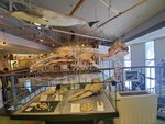 16012024_Samsung Smartphone Galaxy 10 Plus_26th round to Hokkaido_Shiretoko Museum00062