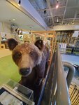 16012024_Samsung Smartphone Galaxy 10 Plus_26th round to Hokkaido_Shiretoko Museum00063