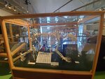 16012024_Samsung Smartphone Galaxy 10 Plus_26th round to Hokkaido_Shiretoko Museum00064