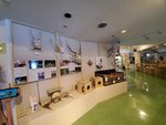 16012024_Samsung Smartphone Galaxy 10 Plus_26th round to Hokkaido_Shiretoko Museum00065