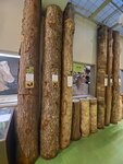 16012024_Samsung Smartphone Galaxy 10 Plus_26th round to Hokkaido_Shiretoko Museum00069