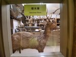16012024_Samsung Smartphone Galaxy 10 Plus_26th round to Hokkaido_Shiretoko Museum00070