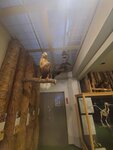 16012024_Samsung Smartphone Galaxy 10 Plus_26th round to Hokkaido_Shiretoko Museum00071