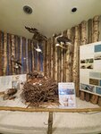16012024_Samsung Smartphone Galaxy 10 Plus_26th round to Hokkaido_Shiretoko Museum00072