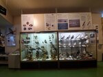 16012024_Samsung Smartphone Galaxy 10 Plus_26th round to Hokkaido_Shiretoko Museum00081