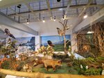16012024_Samsung Smartphone Galaxy 10 Plus_26th round to Hokkaido_Shiretoko Museum00082
