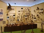 16012024_Samsung Smartphone Galaxy 10 Plus_26th round to Hokkaido_Shiretoko Museum00083