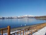 17012024_Samsung Smartphone Galaxy 10 Plus_26th round to Hokkaido_Lake Kussharo_Sunayu Swan00038