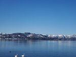 17012024_Samsung Smartphone Galaxy 10 Plus_26th round to Hokkaido_Lake Kussharo_Sunayu Swan00041