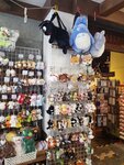 18012024_Samsung Smartphone Galaxy 10 Plus_26th round to Hokkaido_Otaru Souvenirs Shops00003