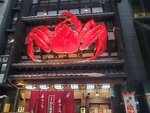 19012024_Samsung Smartphone Galaxy 10 Plus_26th round to Hokkaido_Kani Shougun00003