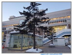 19012024_Samsung Smartphone Galaxy 10 Plus_26th round to Hokkaido_Sapporo Eki00013