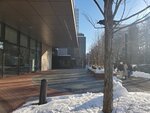 19012024_Samsung Smartphone Galaxy 10 Plus_26th round to Hokkaido_Sapporo Night00007