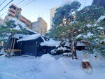 19012024_Samsung Smartphone Galaxy 10 Plus_26th round to Hokkaido_Susukino Morning00011