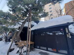 19012024_Samsung Smartphone Galaxy 10 Plus_26th round to Hokkaido_Susukino Morning00012
