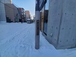 19012024_Samsung Smartphone Galaxy 10 Plus_26th round to Hokkaido_Susukino Morning00014
