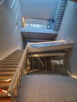 19012024_Samsung Smartphone Galaxy 10 Plus_26th round to Hokkaido_Susukino Morning00018