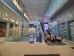 19012024_Samsung Smartphone Galaxy 10 Plus_26th round to Hokkaido_Susukino Morning00021