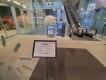19012024_Samsung Smartphone Galaxy 10 Plus_26th round to Hokkaido_Susukino Morning00022