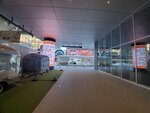 19012024_Samsung Smartphone Galaxy 10 Plus_26th round to Hokkaido_Susukino Morning00023