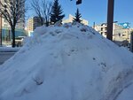 19012024_Samsung Smartphone Galaxy 10 Plus_26th round to Hokkaido_Susukino Morning00031
