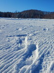 19012024_Samsung Smartphone Galaxy 10 Plus_26th round to Hokkaido_Takino Suzuran Hillside Park00001