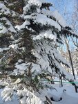 19012024_Samsung Smartphone Galaxy 10 Plus_26th round to Hokkaido_Takino Suzuran Hillside Park00003