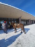 19012024_Samsung Smartphone Galaxy 10 Plus_26th round to Hokkaido_Takino Suzuran Hillside Park00004