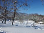 19012024_Samsung Smartphone Galaxy 10 Plus_26th round to Hokkaido_Takino Suzuran Hillside Park00016