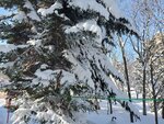 19012024_Samsung Smartphone Galaxy 10 Plus_26th round to Hokkaido_Takino Suzuran Hillside Park00018